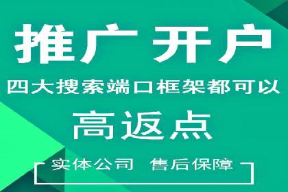 百度推广实战：案例分享与效果评估